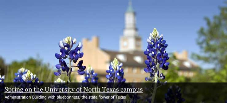 A picture of bluebonnets in front of the Administration Building.